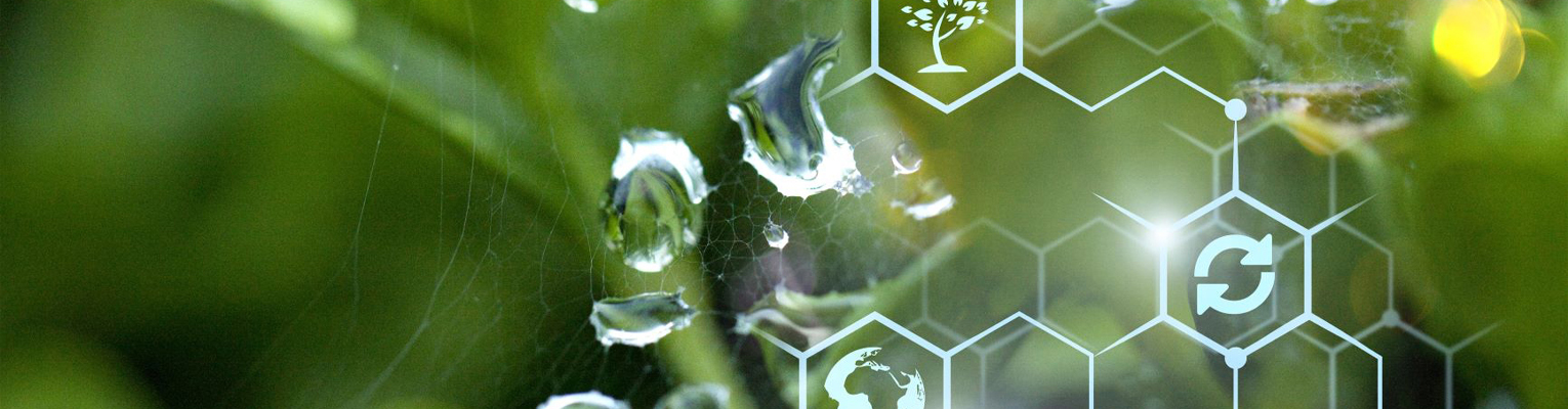 close up on blades of grass with rain drop