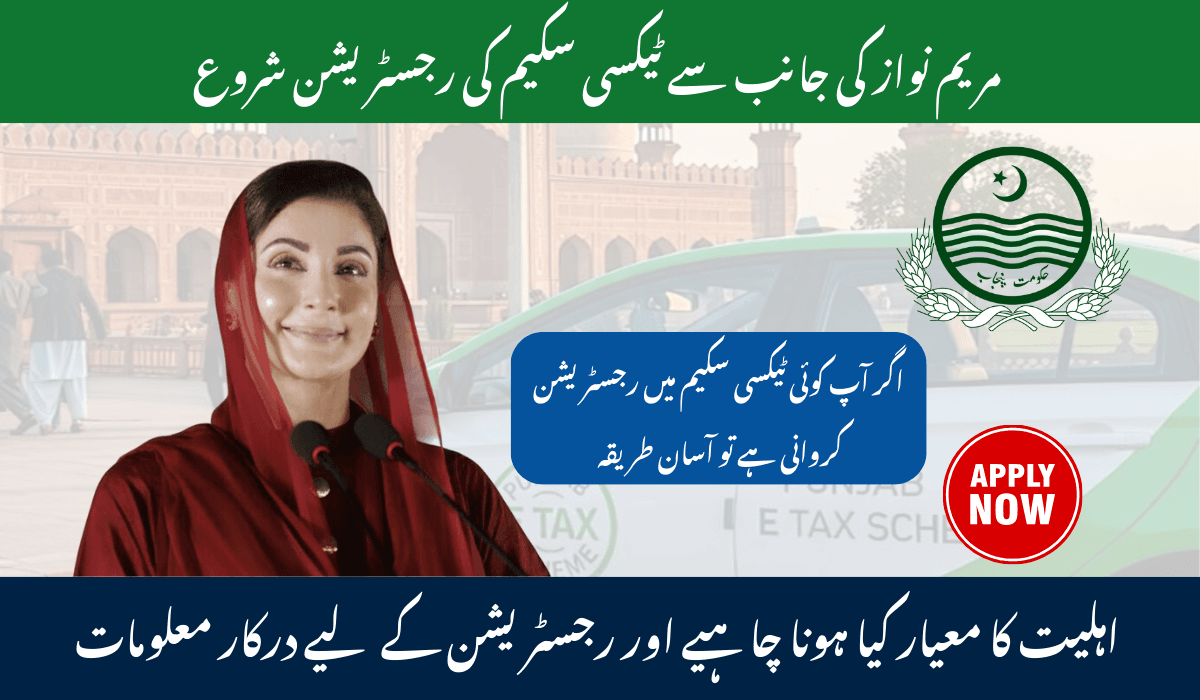 CM Punjab Green E-Taxi Program