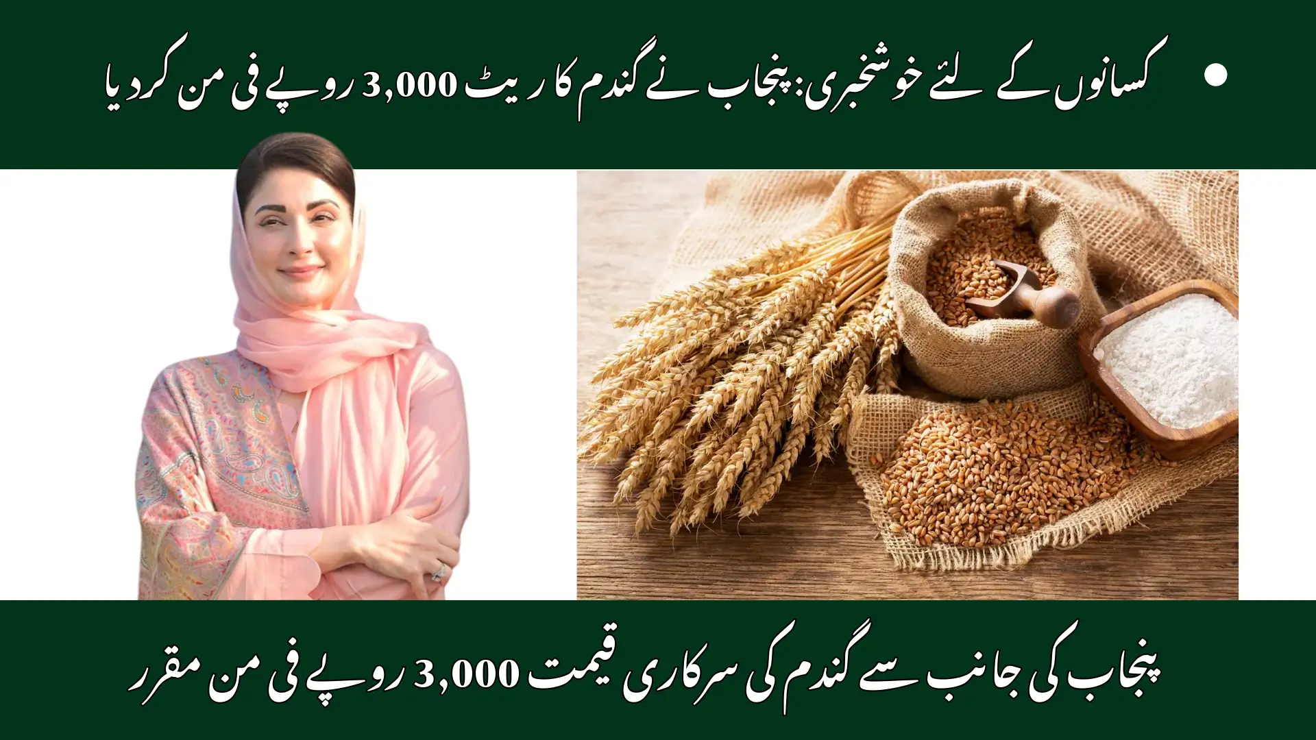Punjab Sets Wheat Procurement Price at Rs. 3,000 Per Maund